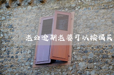 老公逾期老婆可以按揭买车吗 老公逾期老婆可以按揭买车吗