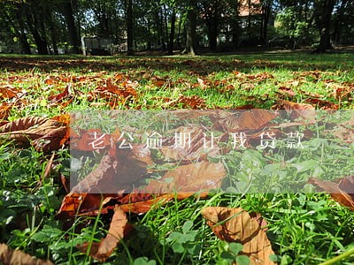 老公逾期让我贷款 老公逾期让我贷款