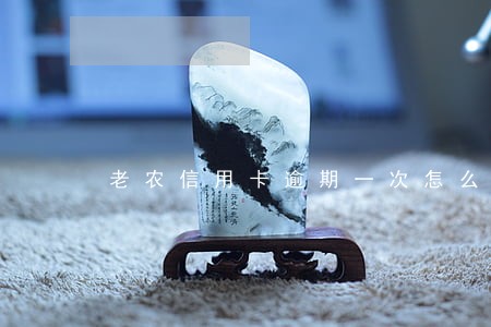 老农信用卡逾期一次怎么办