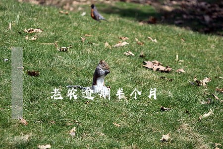 老农逾期半个月 老农逾期半个月