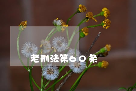 老刑法第60条 老刑法第60条
