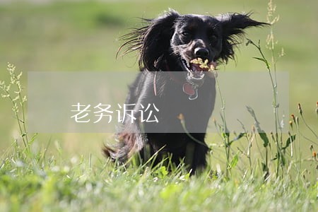 老务诉讼 老务诉讼