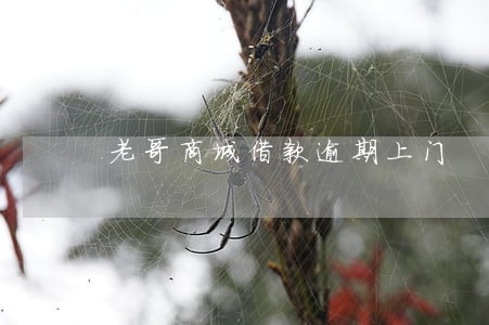老哥商城借款逾期上门 老哥商城借款逾期上门