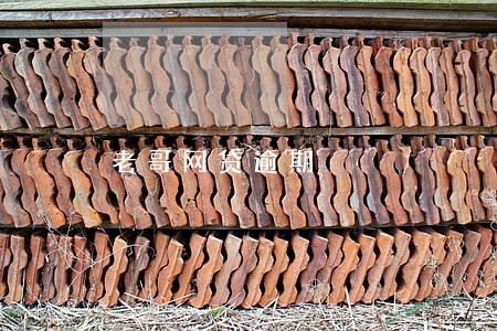 老哥网贷逾期