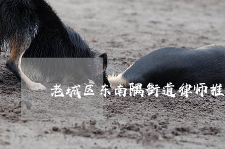 老城区东南隅街道律师推荐 老城区东南隅街道律师推荐