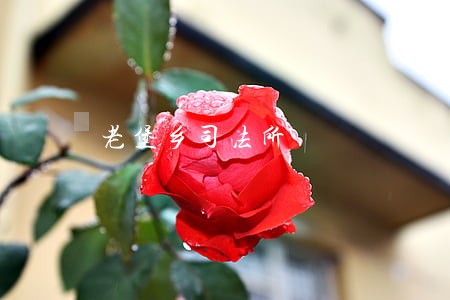 老堡乡司法所