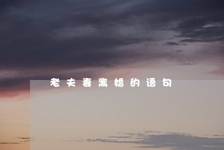 老夫妻离婚的语句 老夫妻离婚的语句