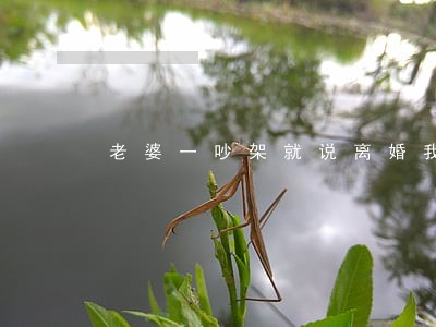 老婆一吵架就说离婚我成全她了 老婆一吵架就说离婚我成全她了