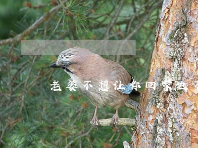 老婆不想让你回家也不提离婚 老婆不想让你回家也不提离婚