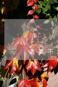 老婆不满意生活应该离婚吗 老婆不满意生活应该离婚吗