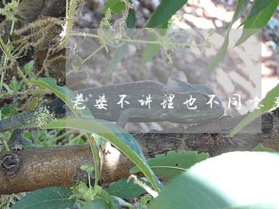 老婆不讲理也不同意离婚 老婆不讲理也不同意离婚