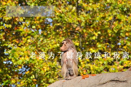 老婆为了健身教练和我离婚 老婆为了健身教练和我离婚
