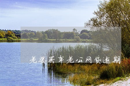 老婆买车老公网贷逾期 老婆买车老公网贷逾期