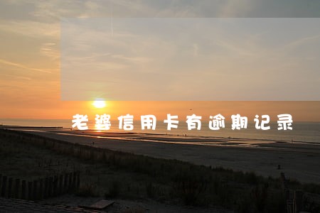 老婆信用卡有逾期记录 老婆信用卡有逾期记录