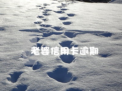 老婆信用卡逾期 老婆信用卡逾期