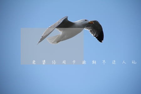 老婆信用卡逾期不还人玩失踪