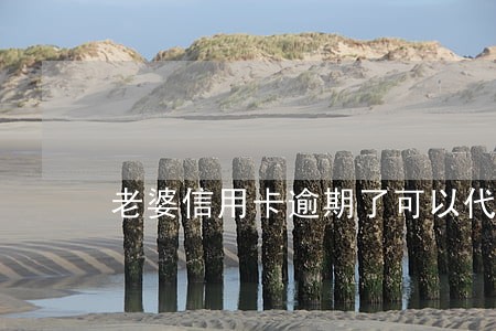 老婆信用卡逾期了可以代替协商吗 老婆信用卡逾期了可以代替协商吗