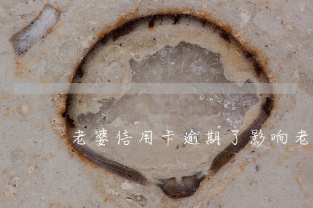 老婆信用卡逾期了影响老公吗 老婆信用卡逾期了影响老公吗