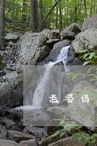 老婆信用卡逾期太多不批贷款
