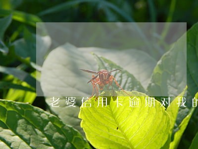 老婆信用卡逾期对我的影响