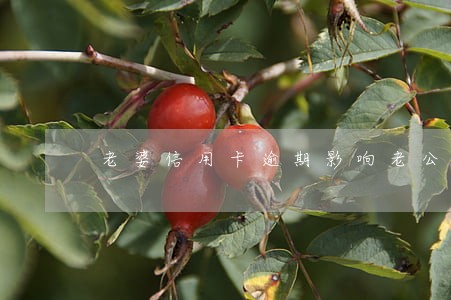 老婆信用卡逾期影响老公用花呗吗 老婆信用卡逾期影响老公用花呗吗