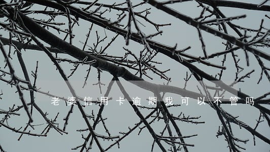 老婆信用卡逾期我可以不管吗 老婆信用卡逾期我可以不管吗