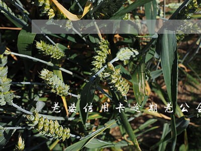 老婆信用卡逾期老公会坐牢骂