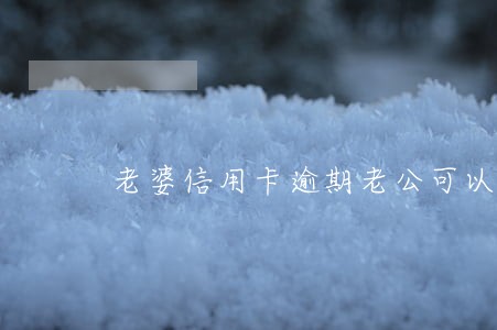 老婆信用卡逾期老公可以申请吗 老婆信用卡逾期老公可以申请吗