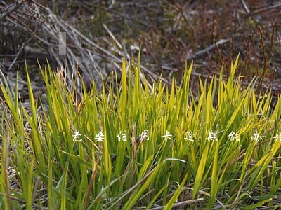 老婆信用卡逾期能办理房贷吗 老婆信用卡逾期能办理房贷吗
