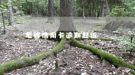 老婆信用卡逾期起诉 老婆信用卡逾期起诉