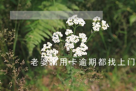 老婆信用卡逾期都找上门了