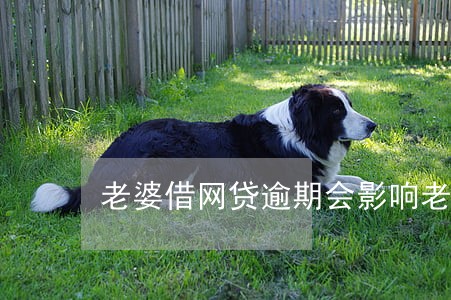 老婆借网贷逾期会影响老公吗 老婆借网贷逾期会影响老公吗