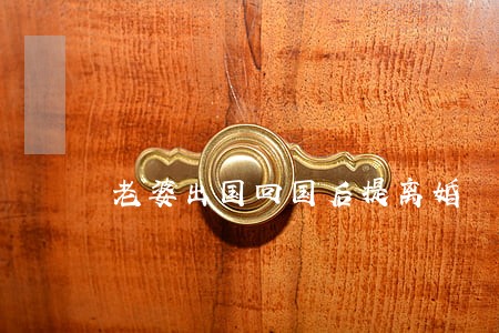 老婆出国回国后提离婚 老婆出国回国后提离婚