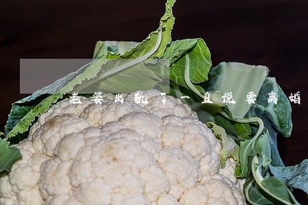老婆出轨了一直说要离婚 老婆出轨了一直说要离婚