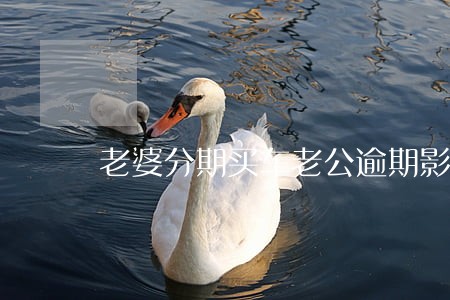 老婆分期买车老公逾期影响吗