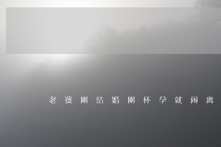 老婆刚结婚刚怀孕就闹离婚