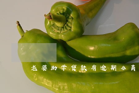 老婆助学贷款有逾期办商转公 老婆助学贷款有逾期办商转公