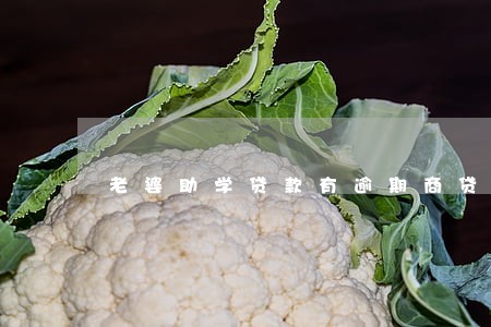 老婆助学贷款有逾期商贷会批吗 老婆助学贷款有逾期商贷会批吗