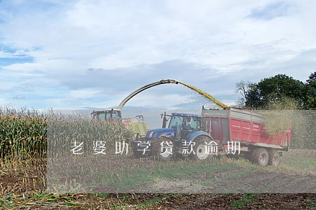 老婆助学贷款逾期 老婆助学贷款逾期