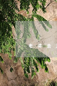 老婆去法院告我要离婚 老婆去法院告我要离婚