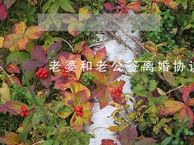老婆和老公签离婚协议 老婆和老公签离婚协议