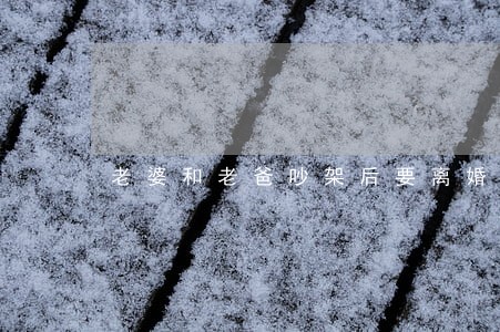 老婆和老爸吵架后要离婚 老婆和老爸吵架后要离婚