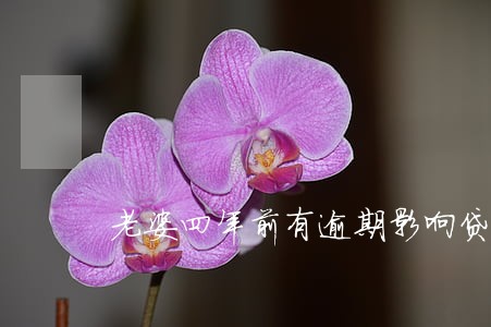 老婆四年前有逾期影响贷款吗 老婆四年前有逾期影响贷款吗