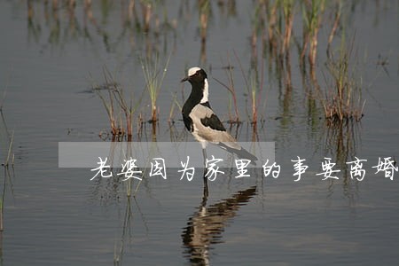 老婆因为家里的事要离婚怎么办 老婆因为家里的事要离婚怎么办