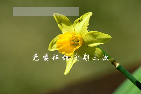 老婆征信逾期三次 老婆征信逾期三次