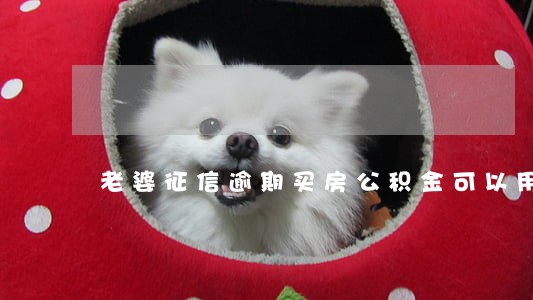老婆征信逾期买房公积金可以用么 老婆征信逾期买房公积金可以用么