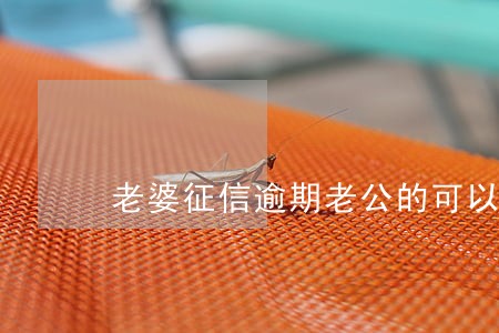 老婆征信逾期老公的可以买房吗 老婆征信逾期老公的可以买房吗