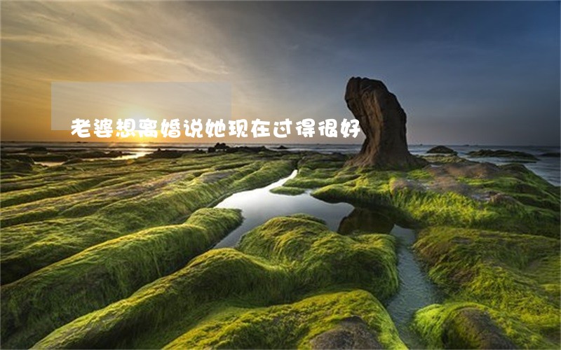 老婆想离婚说她现在过得很好 老婆想离婚说她现在过得很好