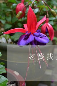 老婆找人查老公开房记录违法吗 老婆找人查老公开房记录违法吗