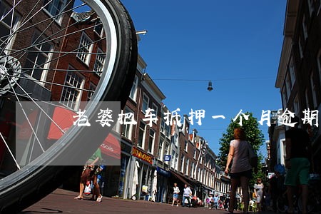 老婆把车抵押一个月逾期了 老婆把车抵押一个月逾期了